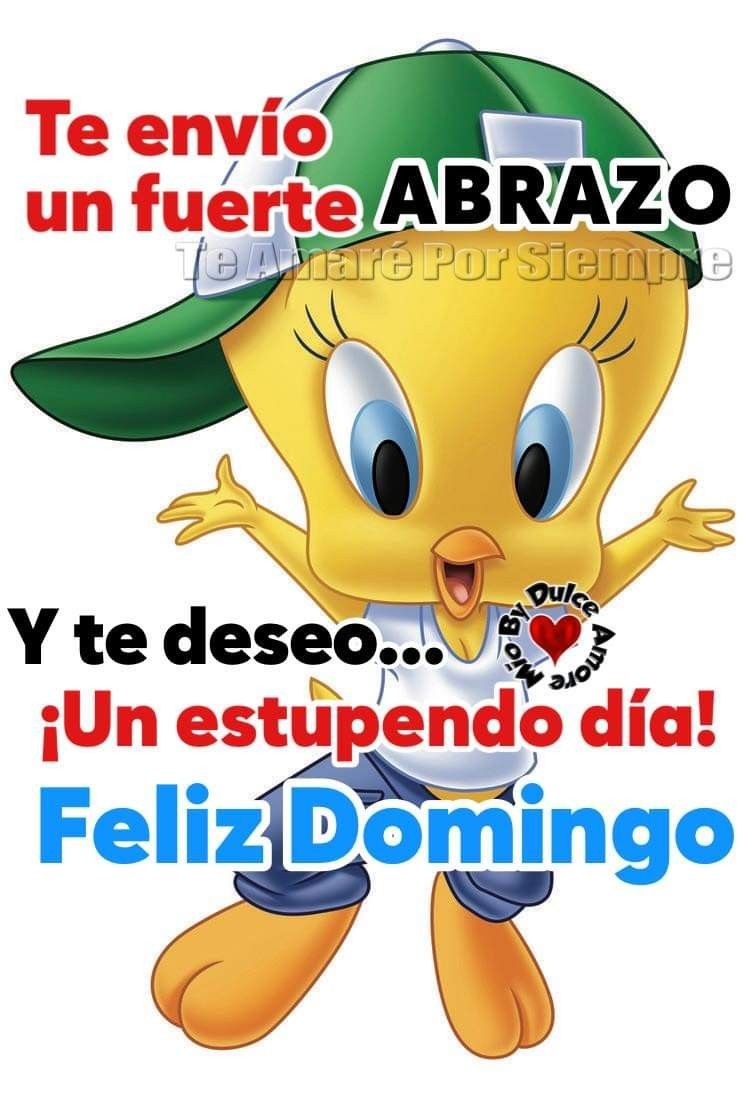 feliz domingo divertido