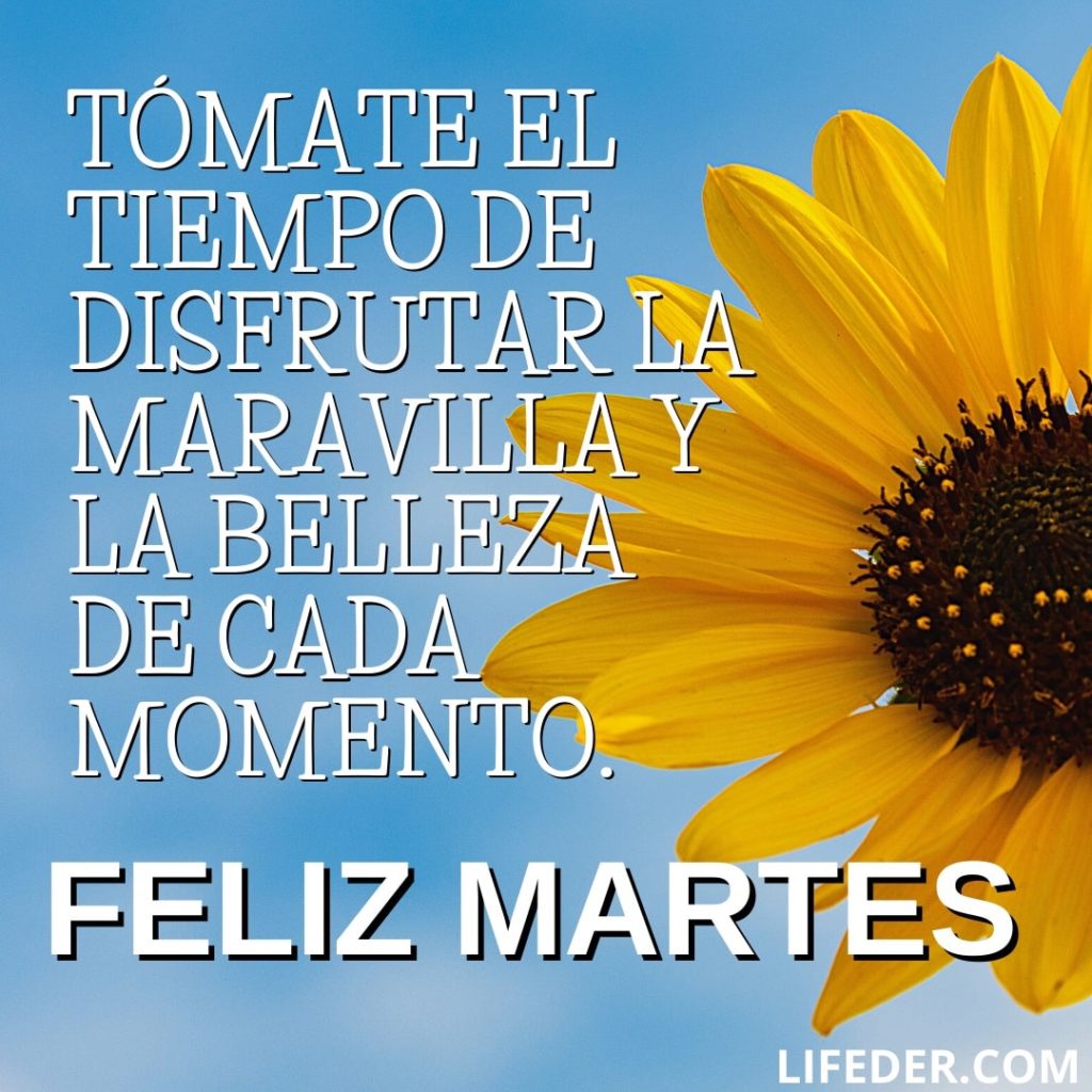 feliz martes frases positivas