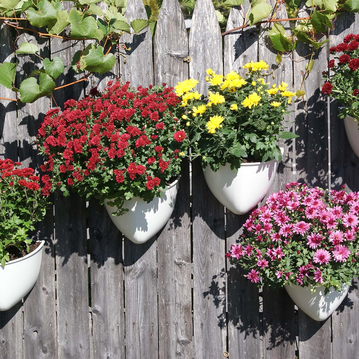 fence planters