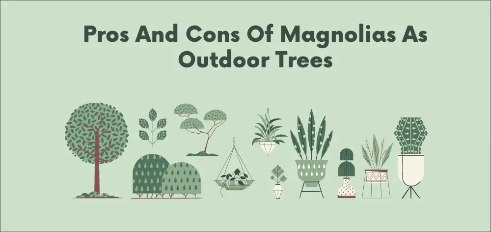 little gem magnolia tree pros and cons