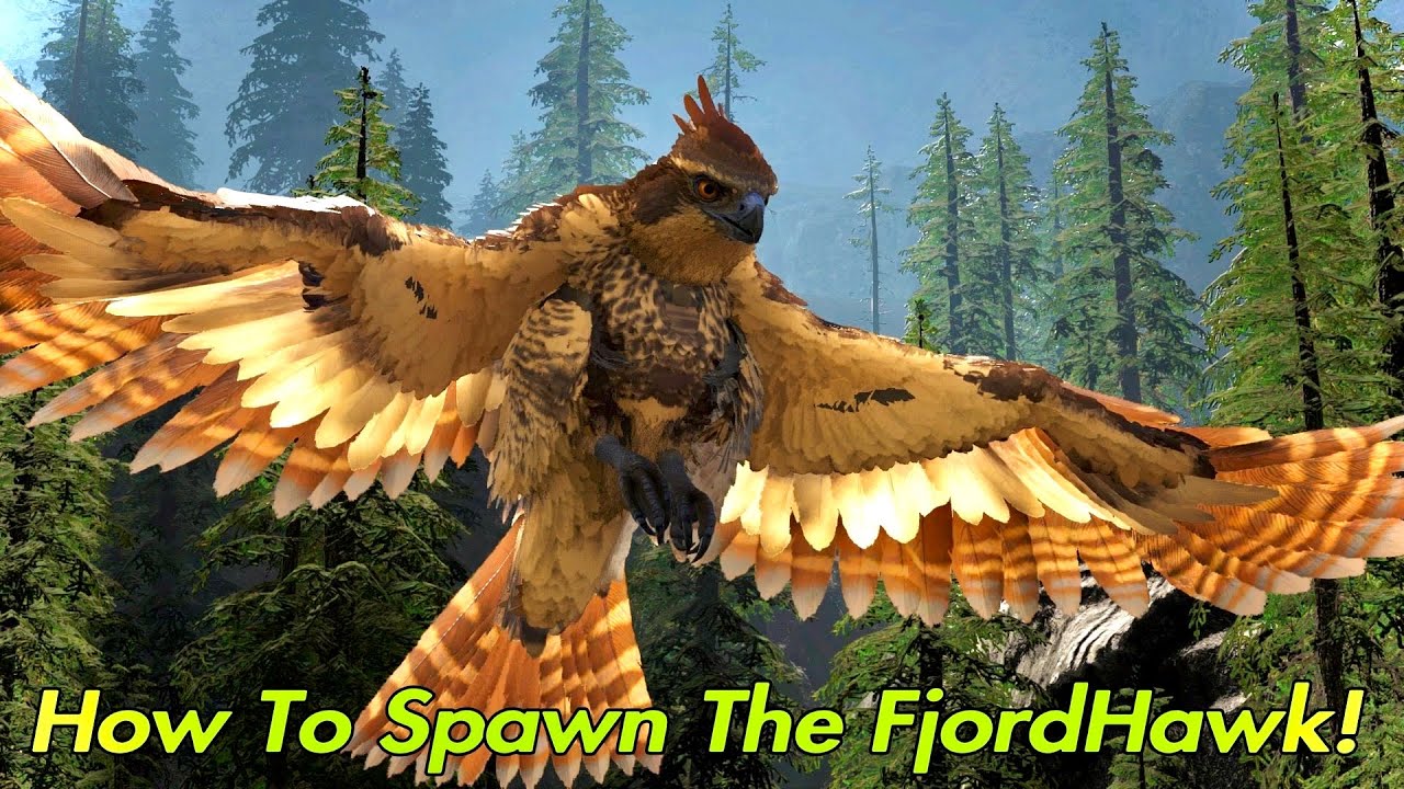 fjordhawk