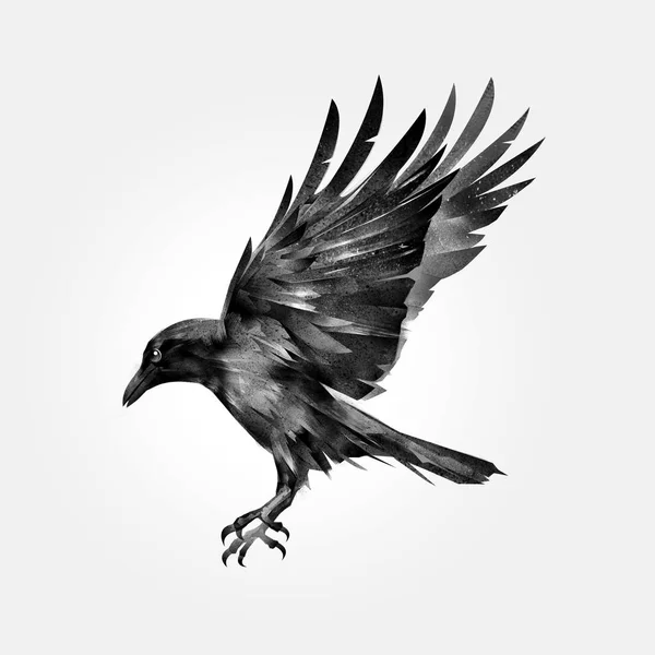 flying raven tattoo