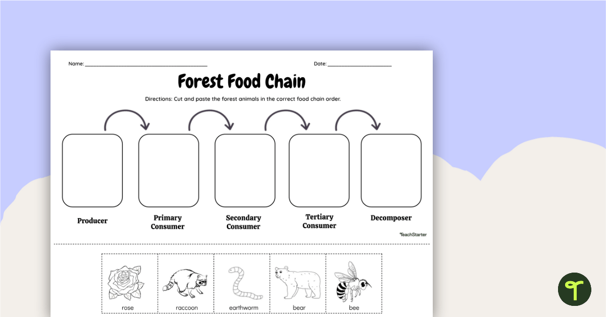 food chain worksheet