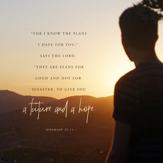 for i know the plans i have for you niv