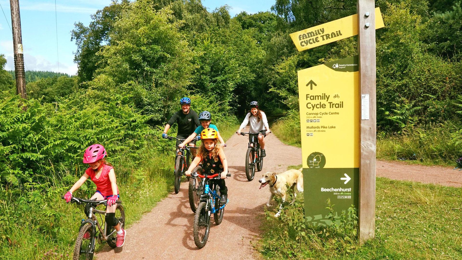 forest of dean cycling family trail