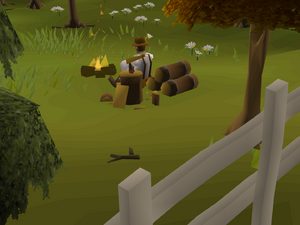 forestry shop osrs