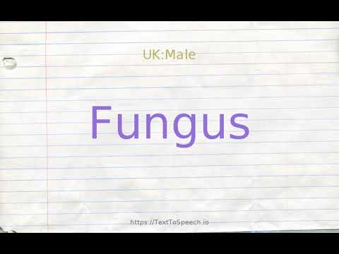 fungus antonyms