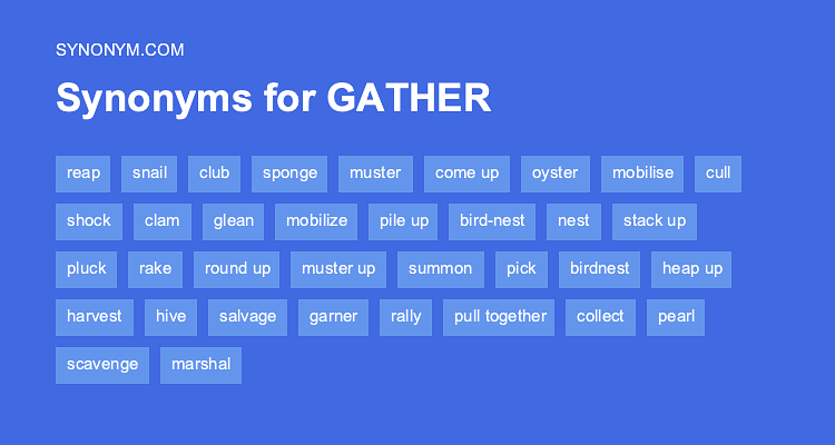 gather thesaurus