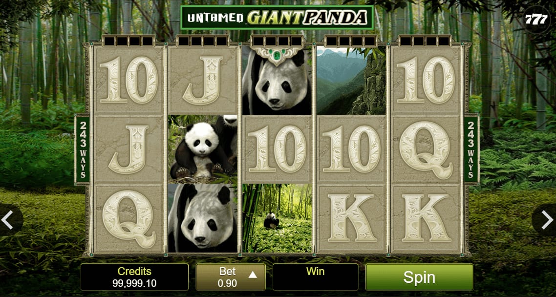 giant panda slot machine