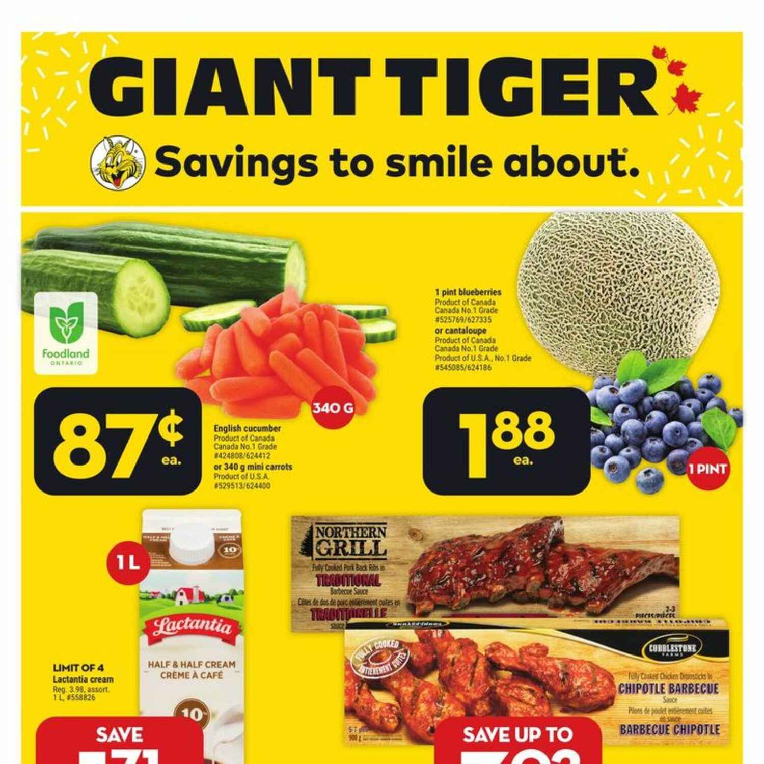 giant tiger flyer march 15 2023