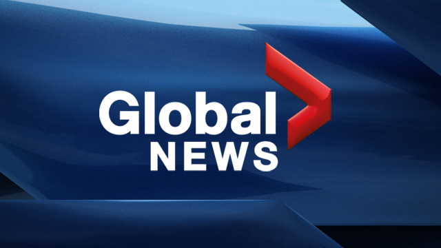 global news edmonton today