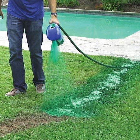 green grass lawn spray