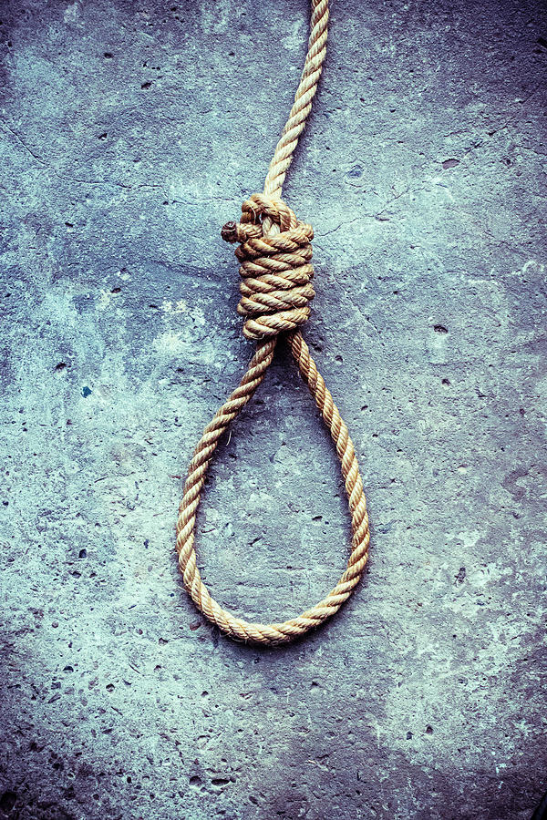 hangmans noose pictures