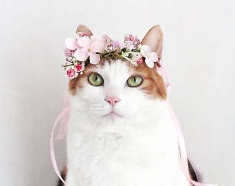 headband for cats