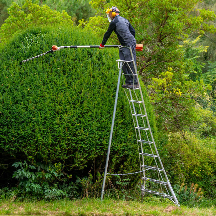 henchman ladders