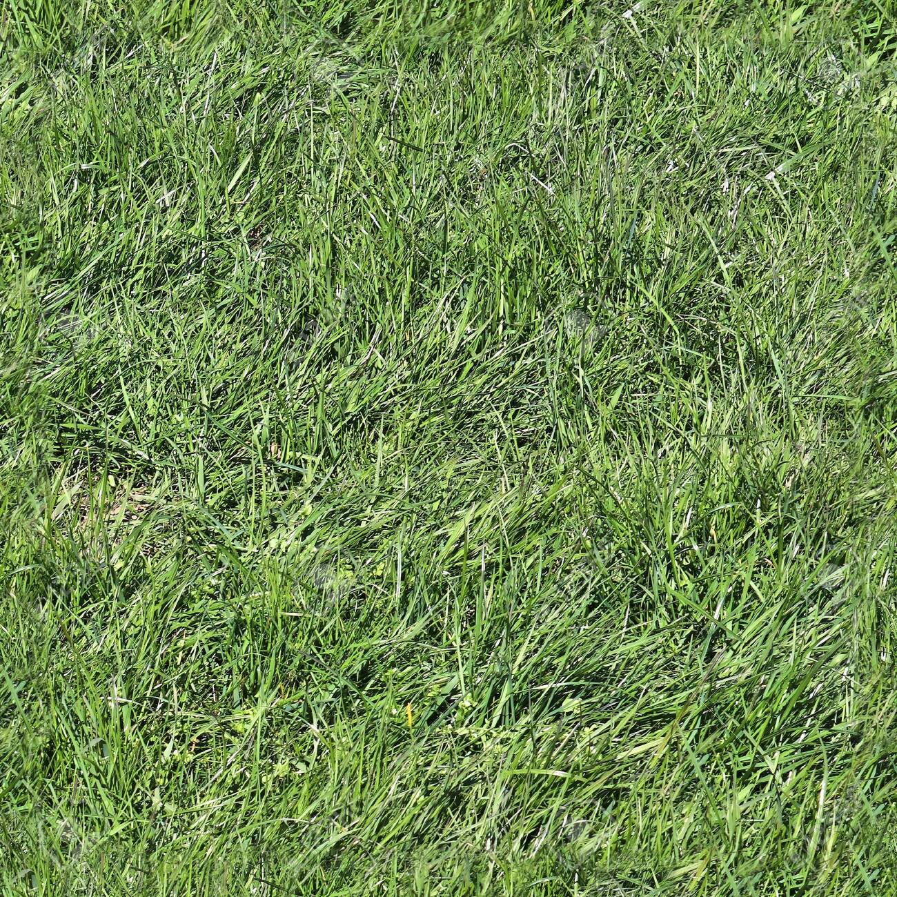 high resolution grass texture