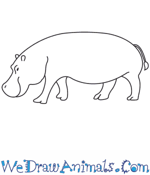 hippo drawings easy