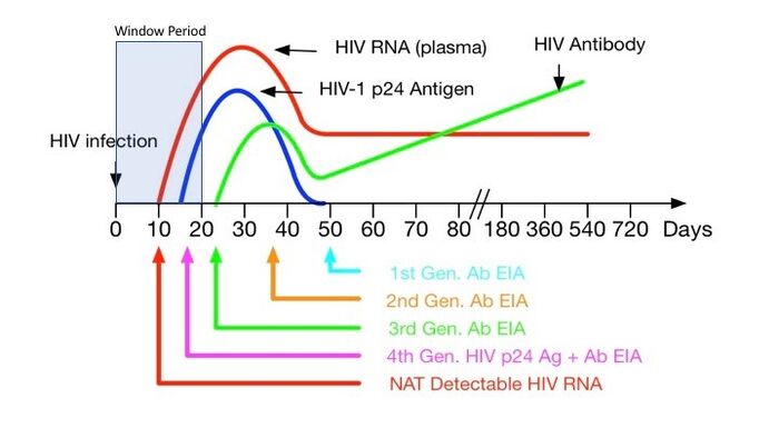 hiv test 84 days conclusive