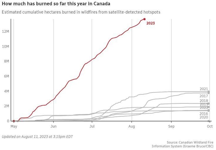 how many hectares burned in bc 2023