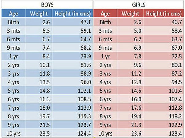 how much do 2 year olds weigh