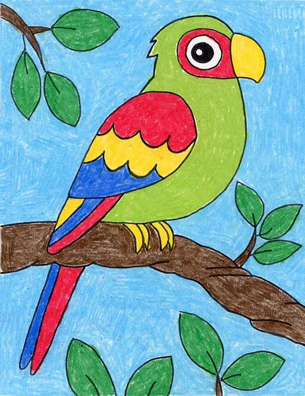 how to draw a parrot