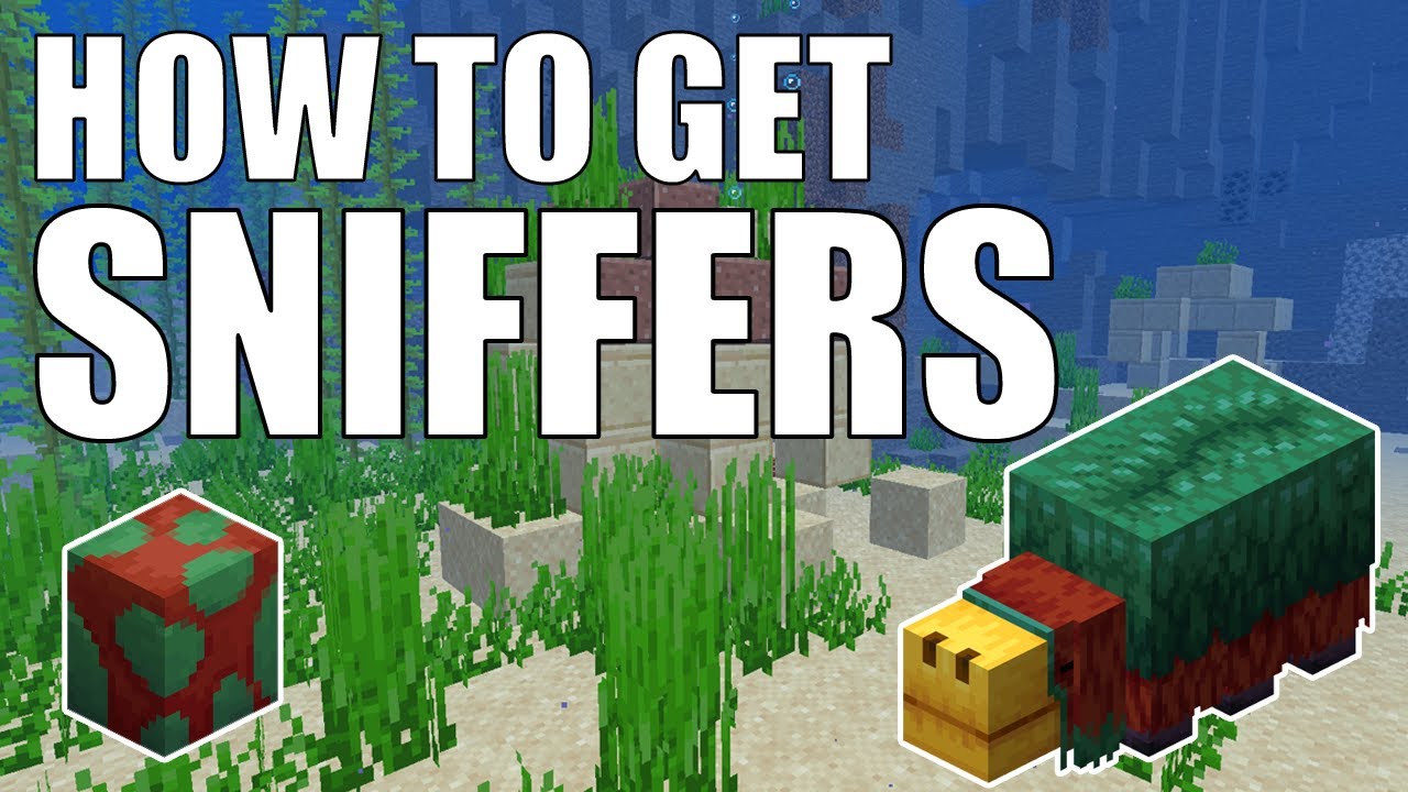 how to get a sniffer egg in minecraft