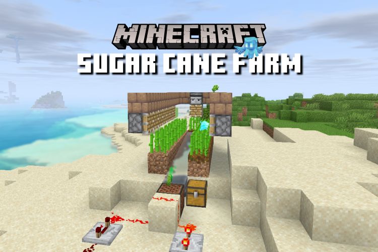 how to make sugarcane farm