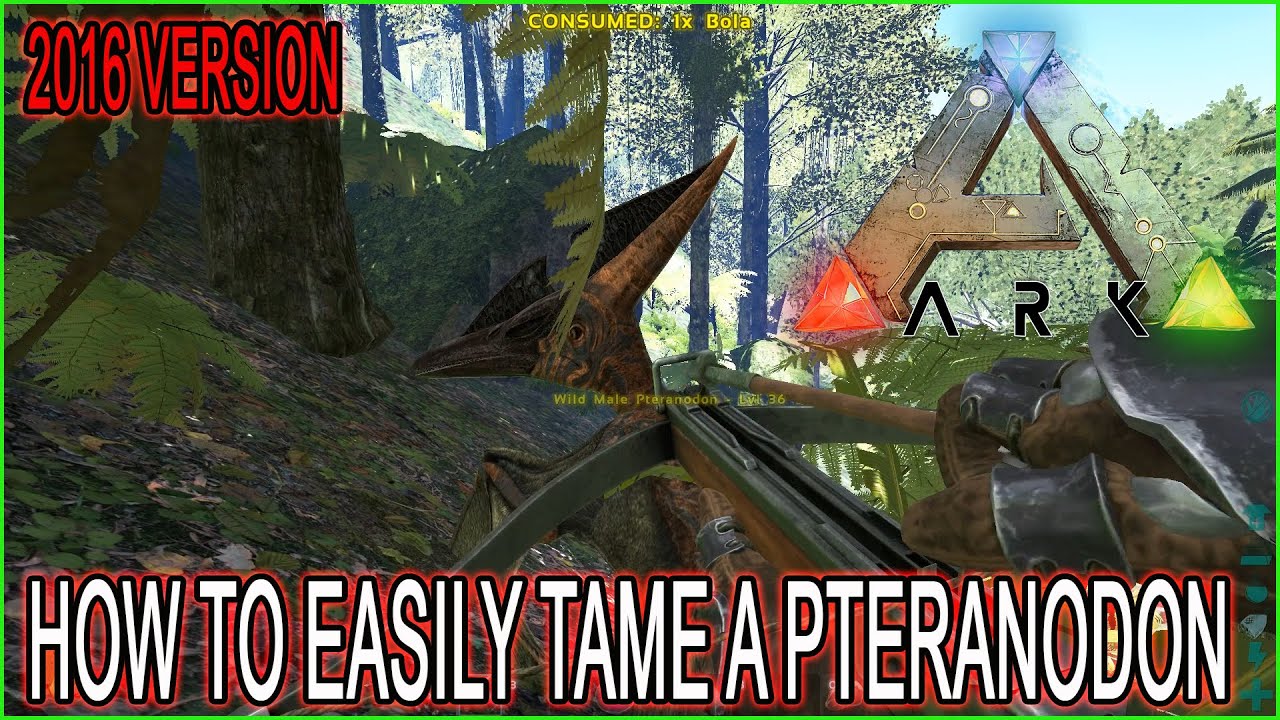 how to tame a pteranodon in ark