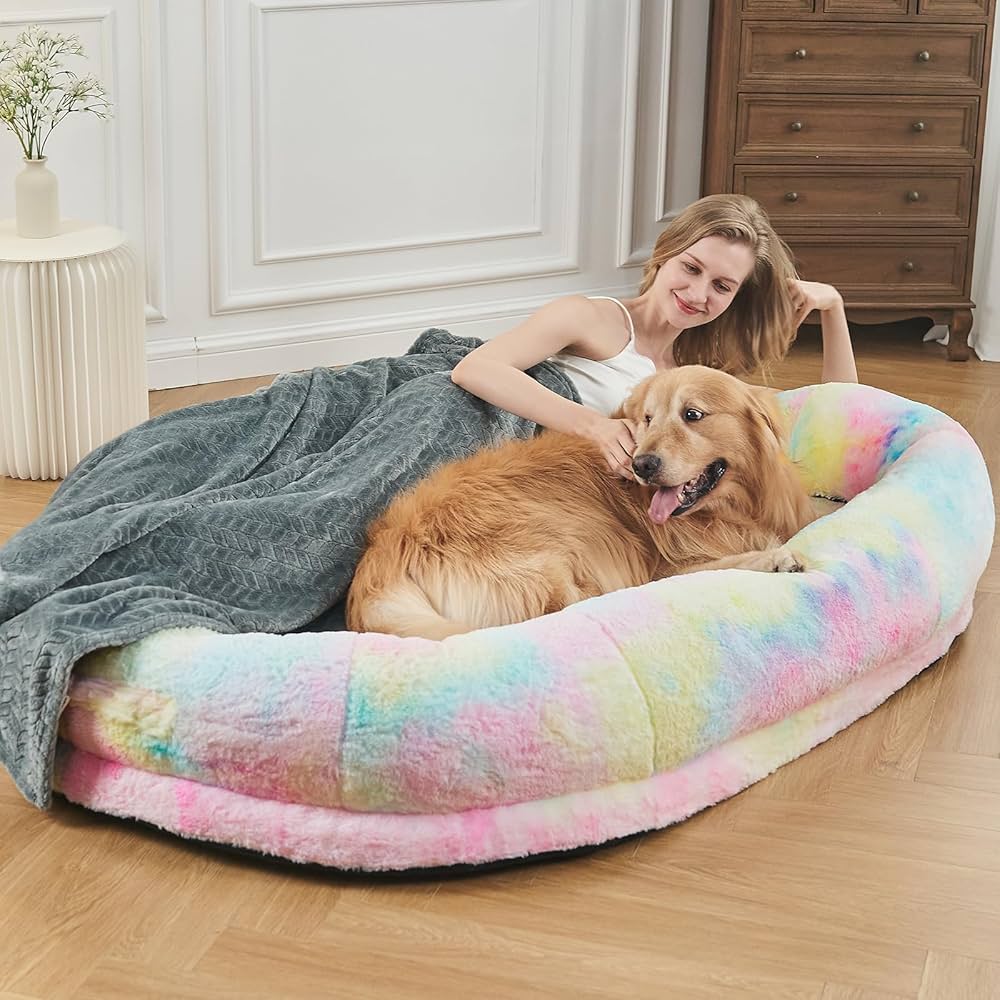 human dog beds amazon