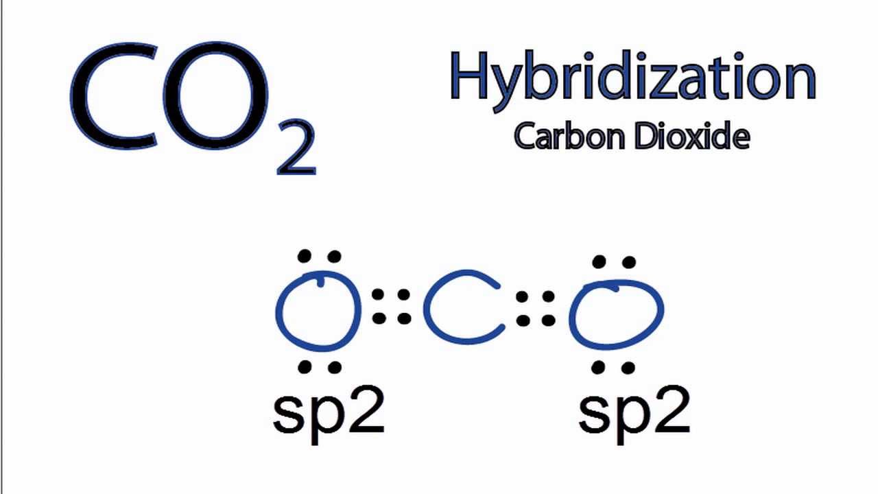 hybridization of carbon in co2