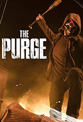 imdb the purge