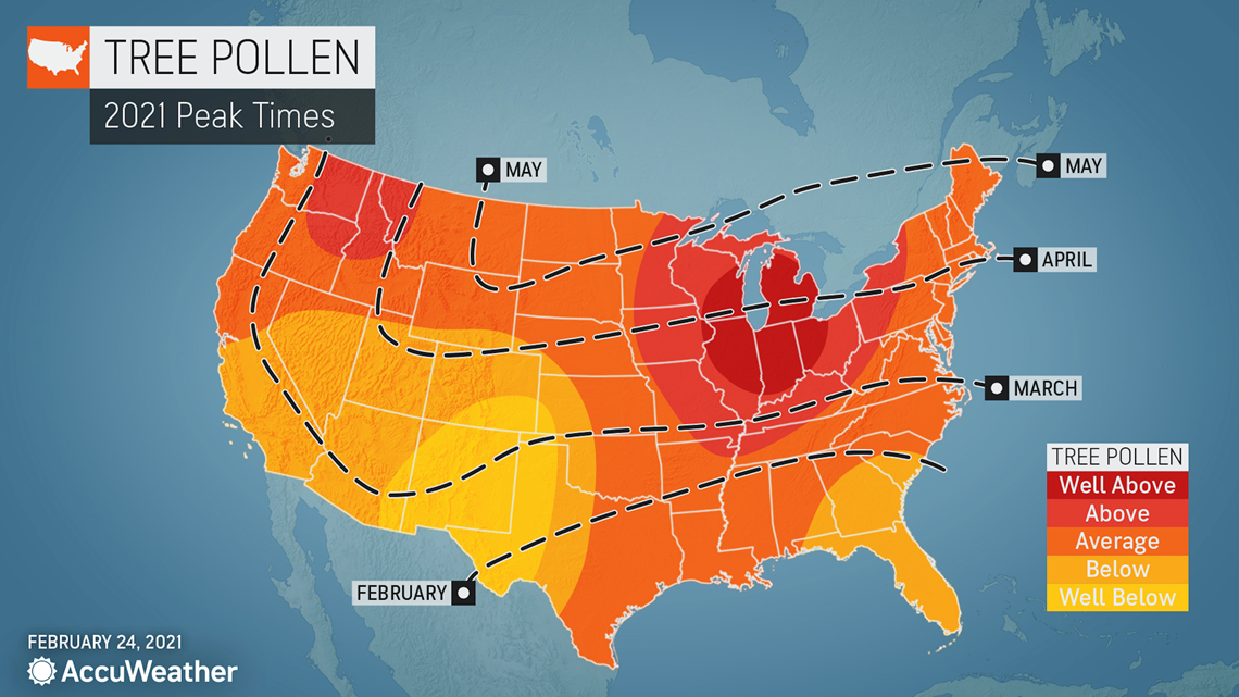 intermountain allergy pollen count