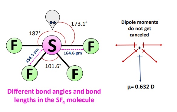 is sf4 a polar molecule