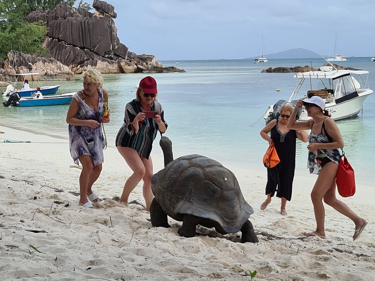 island style boat excursions