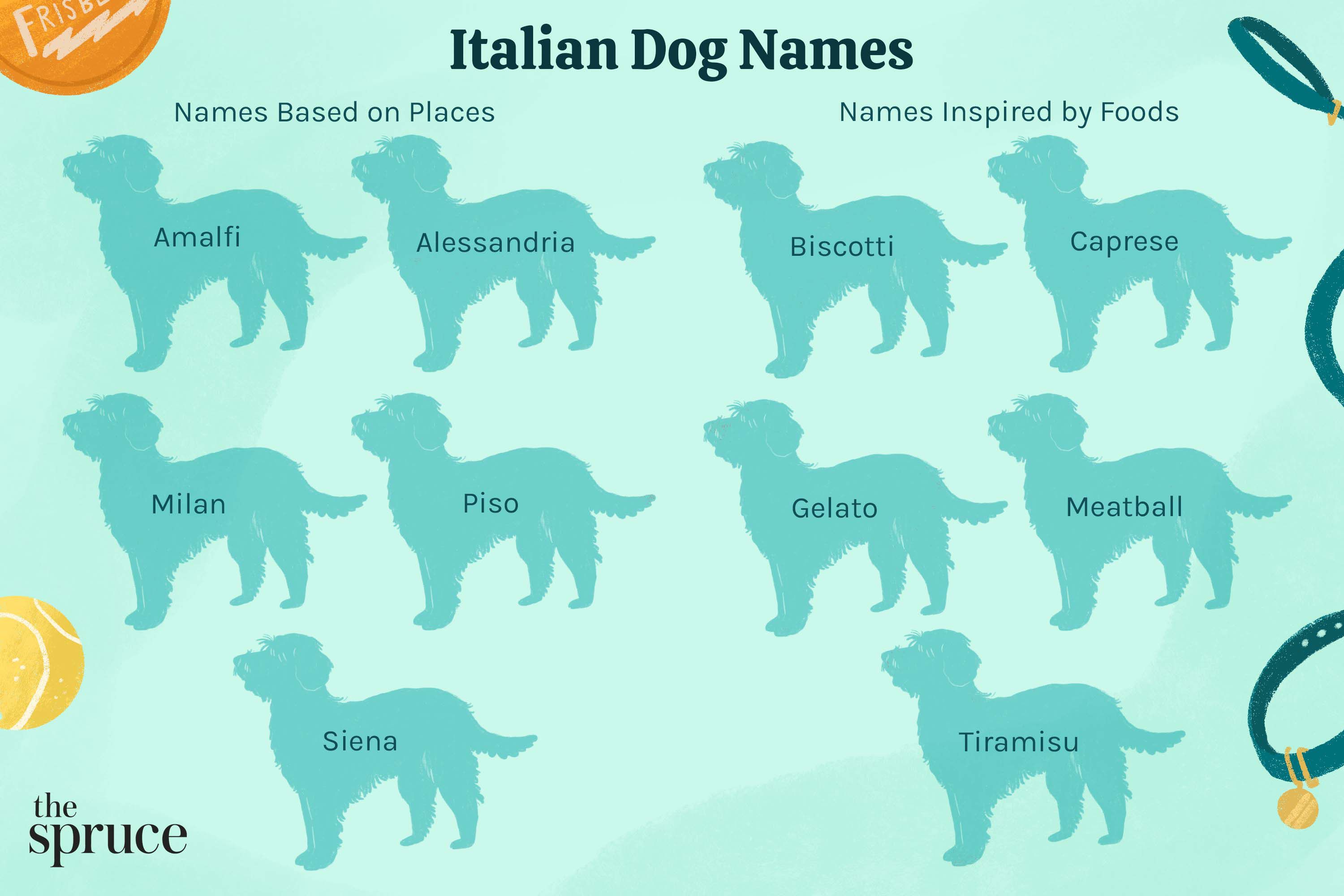 italian cane corso names