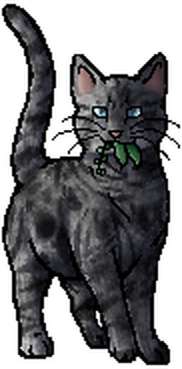 jayfeather