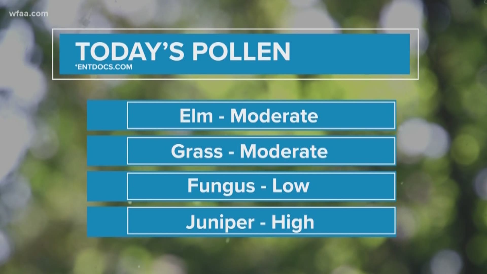 juniper pollen count dallas