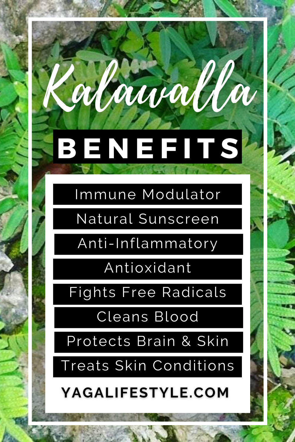 kalawalla herb side effects