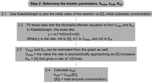 kcat/km