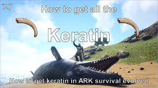 keratin ark