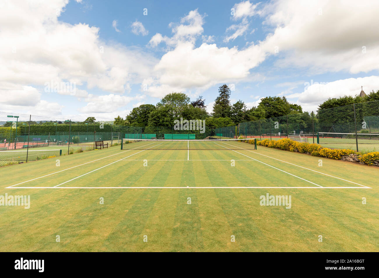 kingsgate lawn tennis club