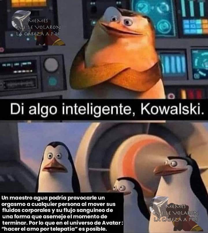 kowalski opciones meme