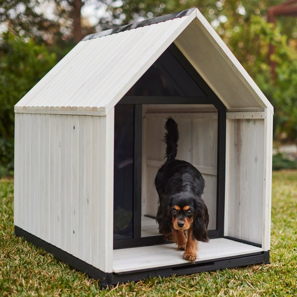 large outdoor dog house