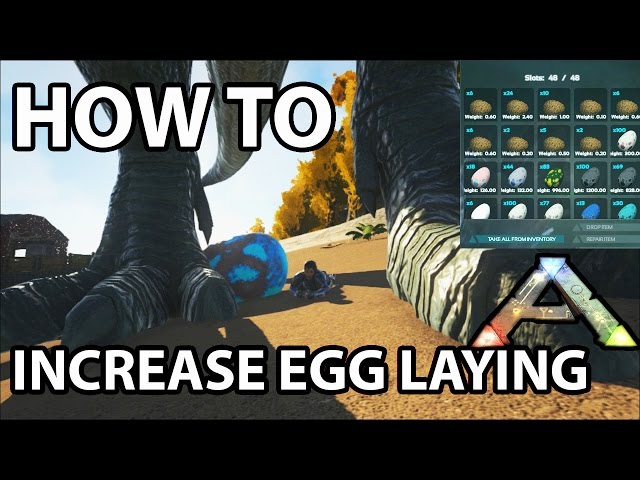 lay egg interval