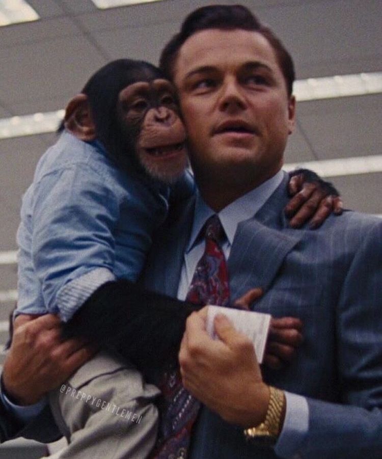 leonardo dicaprio monkey