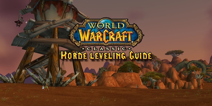 leveling classic wow guide