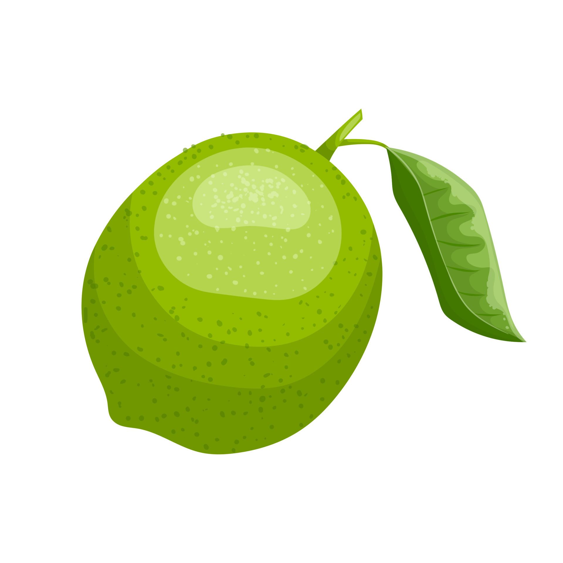 lime cartoon pictures