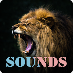 lion roar sound ringtone mp3 download