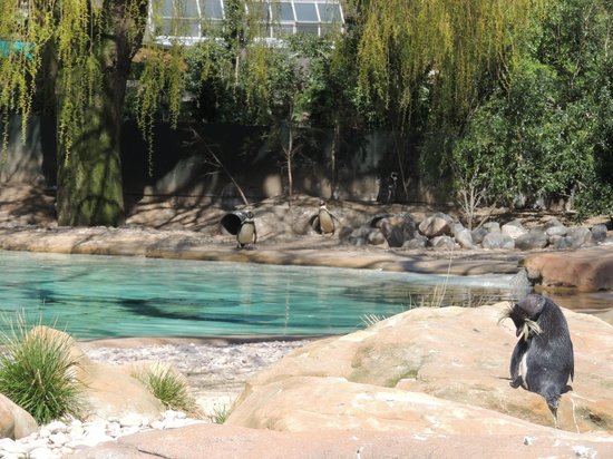 london zoo tripadvisor