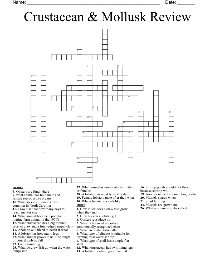 marine shellfish crossword clue